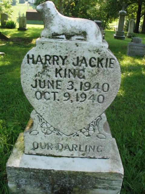 Harry Jackie King